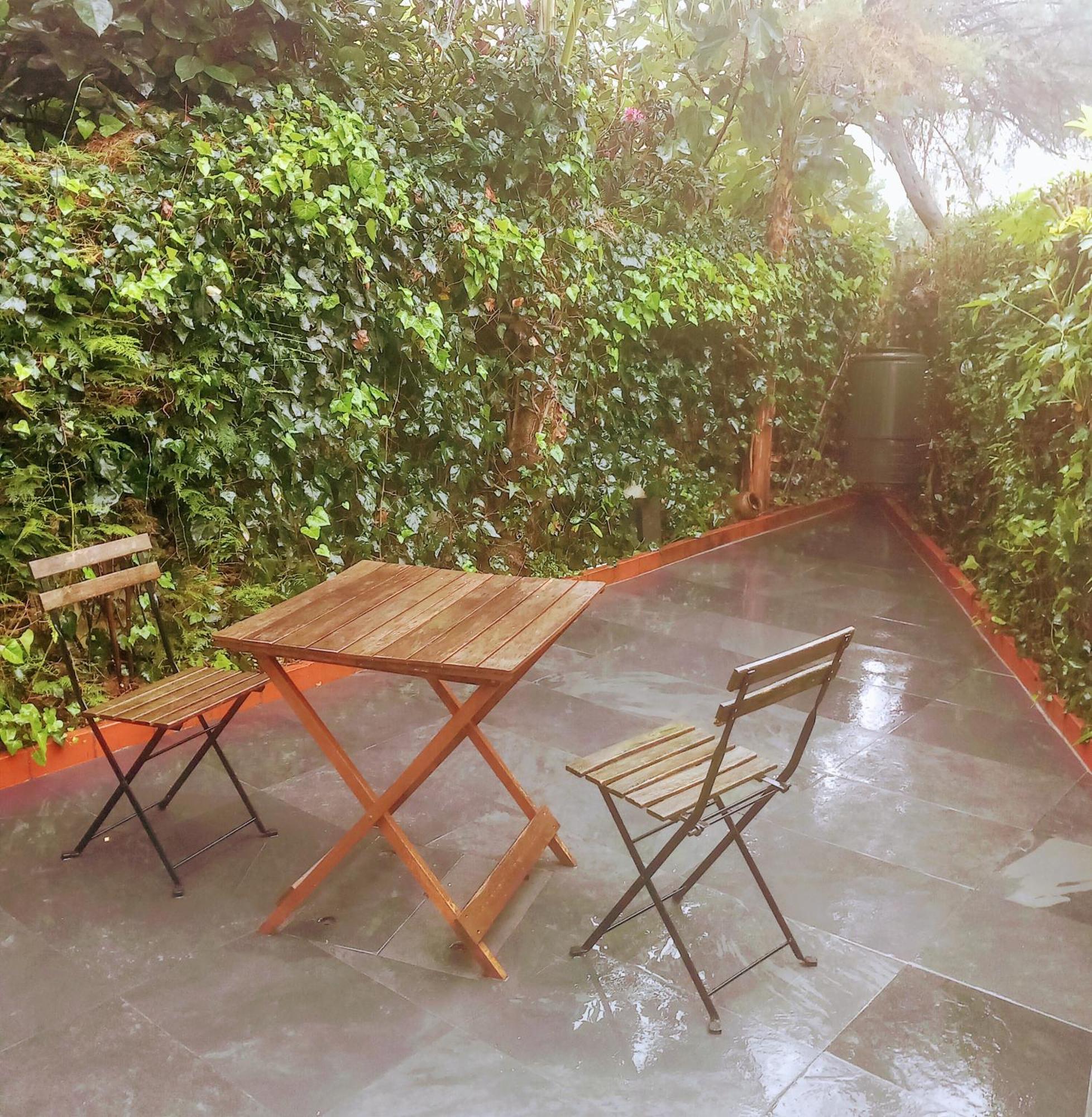 Apartment With Private Garden Porto Eksteriør billede